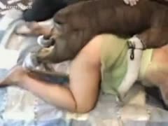 Pudgy dog with a big penis slamming a wanting mature black cock sluts from behind 
